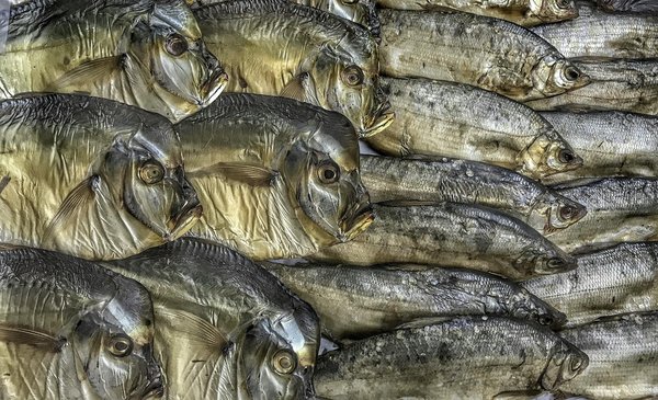 Découvrir la Connexion Cruciale entre les Tiques et la Maladie de Lyme : Guide Essentiel